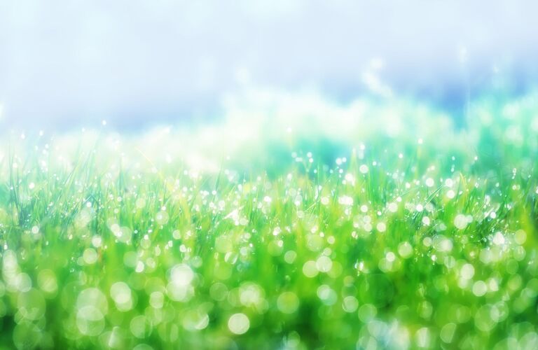 ペットのご遺骨を粉骨にしてお手元に残しませんか？全国どちらからでも対応可能です。